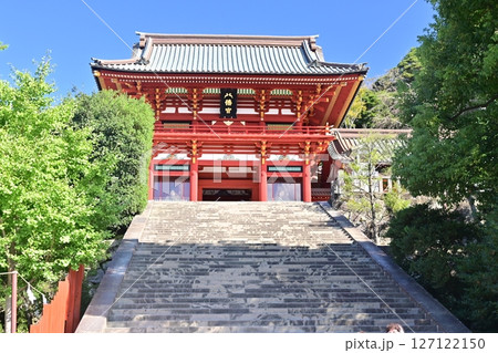 鶴岡八幡宮 127122150