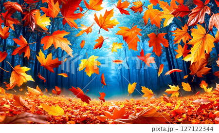 Autumn leaves falling from the sky in a forest 127122344