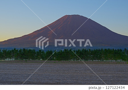 青空を背景に朝日を受けて赤く染まった後方羊蹄山と晩秋の畑風景 Ver2 青空を背景に朝日を受けて赤く染まった後方羊蹄山と晩秋の畑風景 Ver2 127122434