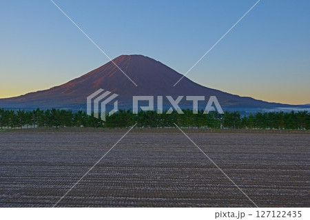 青空を背景に朝日を受けて赤く染まった後方羊蹄山と晩秋の畑風景 Ver1 青空を背景に朝日を受けて赤く染まった後方羊蹄山と晩秋の畑風景 Ver1 127122435