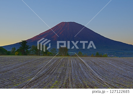 快晴の青空を背景に朝日で赤く染まる後方羊蹄山と初霜の降りた畑の風景 Ver1 快晴の青空を背景に朝日で赤く染まる後方羊蹄山と初霜の降りた畑の風景 Ver1 127122685