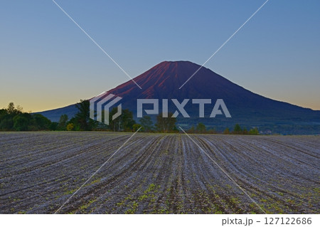 快晴の青空を背景に朝日で赤く染まる後方羊蹄山と初霜の降りた畑の風景 Ver2 快晴の青空を背景に朝日で赤く染まる後方羊蹄山と初霜の降りた畑の風景 Ver2 127122686