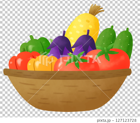 籃子裡的一組夏季蔬菜的插圖 127123728