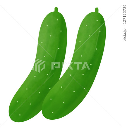 二本のきゅうりのイラスト 127123729