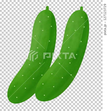 二本のきゅうりのイラスト 127123729
