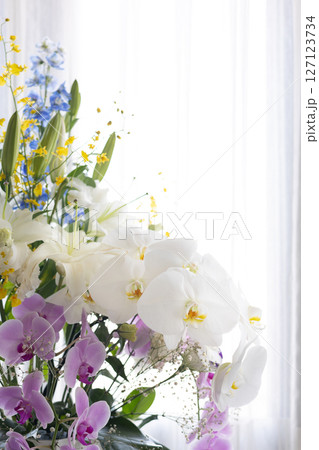 アレンジフラワー コチョウラン・2 アレンジフラワー コチョウラン・2 127123734