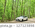 新緑のBMW 127123898