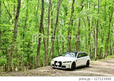 新緑のBMW 127123898