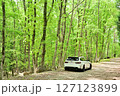 新緑のBMW 127123899