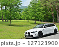 新緑のBMW 127123900