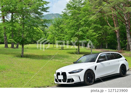 新緑のBMW 127123900