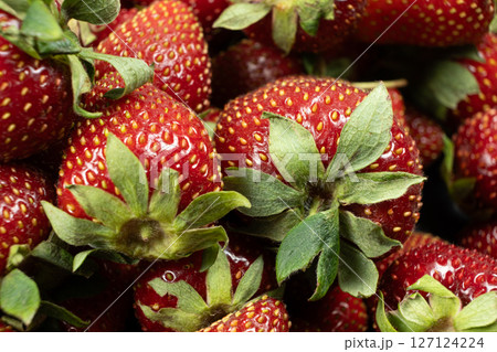 Strawberry Surface Background. Bright Juicy Texture of Fresh Berries. Strawberry Surface Background. Bright Juicy Texture of Fresh Berries. 127124224