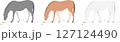 牧草を食べる馬のベクターイラストセット/シンプルなフラットスタイル 127124490