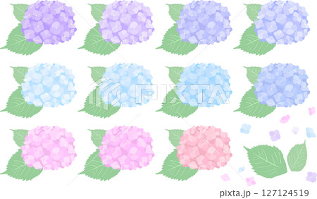 紫陽花のあしらいイラストセット/梅雨の花の素材/シンプルなフラットスタイル 127124519