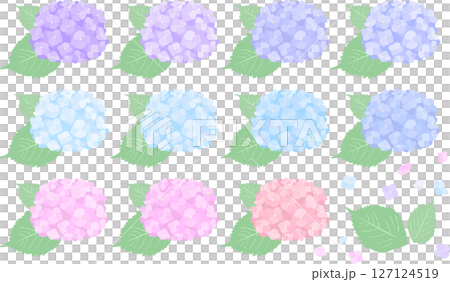 紫陽花のあしらいイラストセット/梅雨の花の素材/シンプルなフラットスタイル 127124519