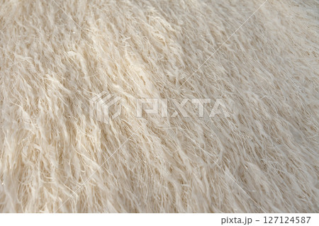Close-up of feathered fabric with metallic threads in beige tones. 127124587