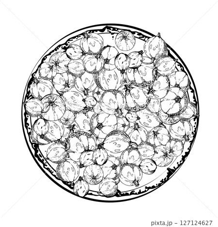 Currant gooseberry on ceramic dish, hand drawn in vector ink, ripe picked garden berry harvest, casseille jostaberry. Isolated illustration. Food blogs, cookbook, dessert menu, farmers market grocery 127124627