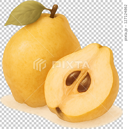 水彩水果插圖圖像 127124862