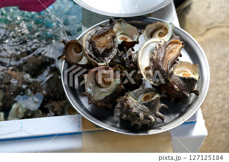 アワビ あわび 鮑 127125184