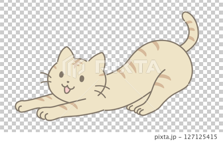 伸びる猫 127125415