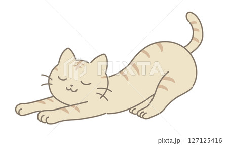 伸びる猫 127125416