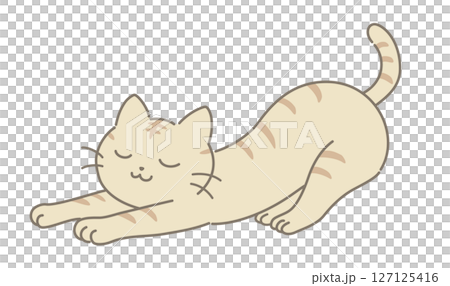 伸びる猫 127125416