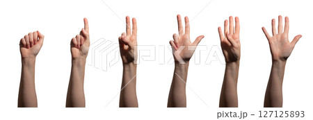 Hand with fingers raised, showing the numbers zero through five in a counting gesture. learning, 127125893