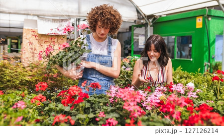 Garden center workers choosing blooming flowers in greenhouse 127126214