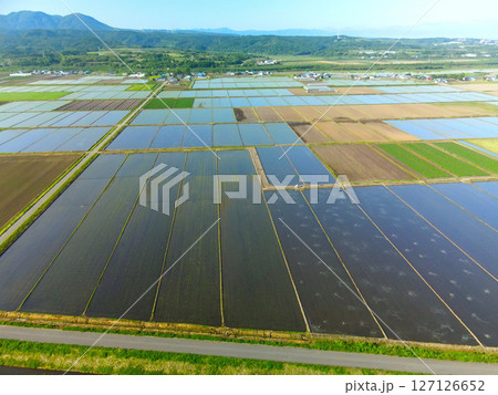 初夏の北海道江差町で田植えを終えた水田の風景を空撮 127126652
