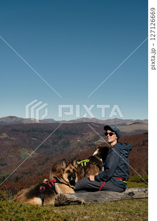 Woman sits on a log with two dogs. German and Australian Shepherds, enjoying peaceful autumn day in Montenegro Komovi mountains with owner. The moment captures loyalty and serenity Woman sits on a log with two dogs. German and Australian Shepherds, enjoying peaceful autumn day in Montenegro Komovi mountains with owner. The moment captures loyalty and serenity 127126669