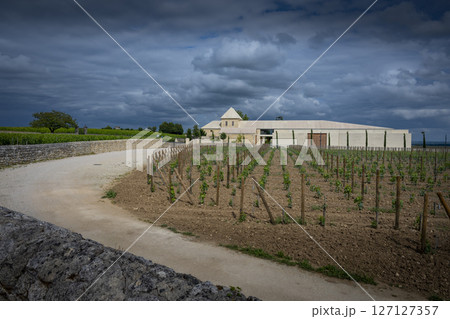 Springtime at Chateau Belair-Monnange in Saint-Emilion showcases Bordeaux vineyard under dramatic 127127357