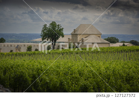 Springtime at Chateau Belair-Monnange in Saint-Emilion showcases Bordeaux vineyard under dramatic Springtime at Chateau Belair-Monnange in Saint-Emilion showcases Bordeaux vineyard under dramatic 127127372