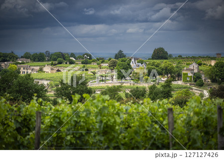 Bordeaux vineyards in AOC Saint-Emilion showcasing Chateau Auzone and lush green landscapes under a 127127426