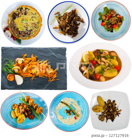 Collection of mushroom dishes on white background 127127916