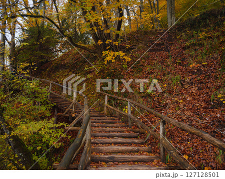 Wooden walkpath in Plitvice National Park. Splendid autumn in forest with pure water lake. Picturesque landscape of Croatia, Europe. Beauty of nature concept background. 127128501