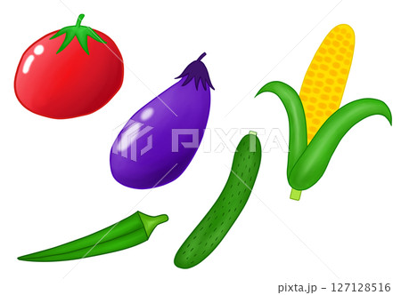 夏野菜 127128516