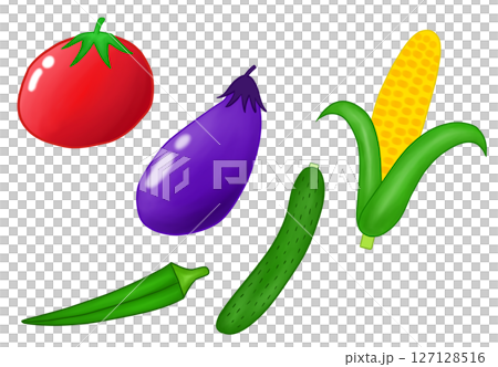 夏野菜 127128516