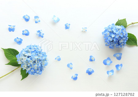 紫陽花のフレーム 127128702