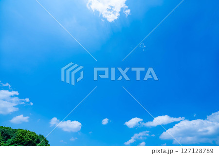 青空と雲と木立 127128789