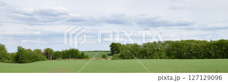 panorama of Russian plain nature with fields and forests panorama of Russian plain nature with fields and forests 127129096