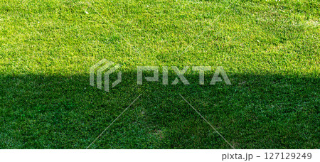 Green grass background divided by shadow. Mown lawn, shadow falls on the grass, visually dividing it in half. Green grass background divided by shadow. Mown lawn, shadow falls on the grass, visually dividing it in half. 127129249