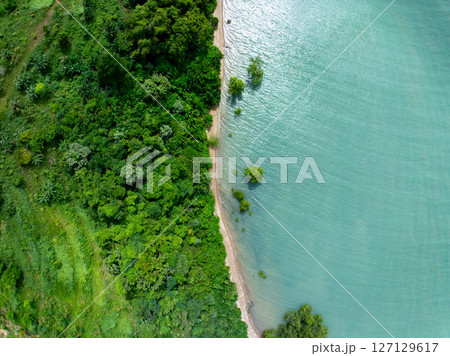 Amazing abundant mangrove forest, Aerial view of forest trees Rainforest ecosystem and healthy environment background, Texture of green trees forest top down,High angle view wide angle lens. Amazing abundant mangrove forest, Aerial view of forest trees Rainforest ecosystem and healthy environment background, Texture of green trees forest top down,High angle view wide angle lens. 127129617