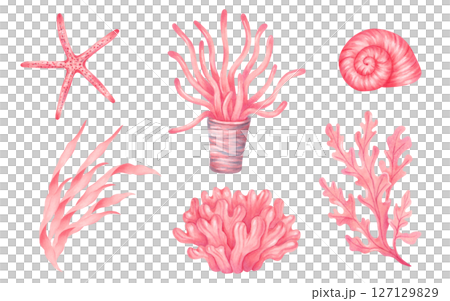 Collection of sea elements coral, seaweed, spiral shell, starfish. Watercolor illustrations. Underwater nature of the seabed. Hand drawn isolated art. Clipart for children's design, tourism, travel. 127129829