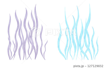 Blue, purple seaweed. Watercolor illustrations. Marine clipart of underwater plants. Hand drawn isolated art. Ocean flora plants. For marine theme, cosmetology, children's design, tourism projects. 127129832
