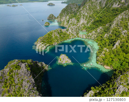 Lagoons with green water in Coron. Palawan, Philippines. Lagoons with green water in Coron. Palawan, Philippines. 127130803
