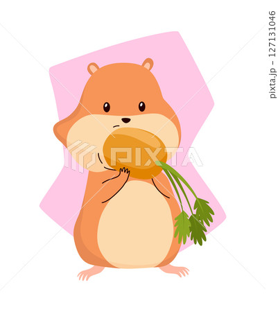 Cartoon hamster. Fluffy domestic pet, funny rodent. Happy home rodent animal. Vector illustration isolated on white background Cartoon hamster. Fluffy domestic pet, funny rodent. Happy home rodent animal. Vector illustration isolated on white background 127131046