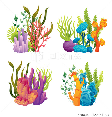 Set of watercolor seaweed and corals isolated on white background. Underwater algae. Aquarium plants collection. Vector marine life. Vector isolated corals and algae. Underwater flora Set of watercolor seaweed and corals isolated on white background. Underwater algae. Aquarium plants collection. Vector marine life. Vector isolated corals and algae. Underwater flora 127131095