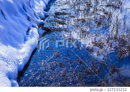 雪の琵琶湖畔 雪の琵琶湖畔 127131212