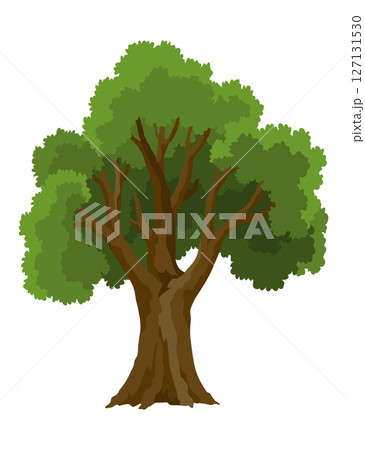 Kind of tree icon . Deciduous plant. Green crowns and lush foliage with natural brown trunks and branches. Vector cartoon illustration Kind of tree icon . Deciduous plant. Green crowns and lush foliage with natural brown trunks and branches. Vector cartoon illustration 127131530