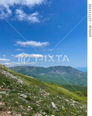 scenery on the mountains and forest from the top of the cliff 127131598